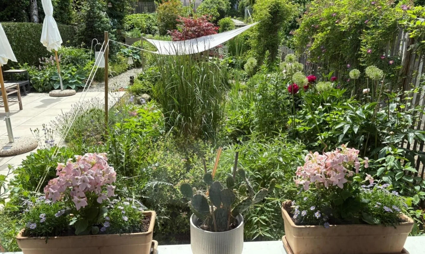 Incantevole Casa a Schiera con Giardino - Foto 1 di 11