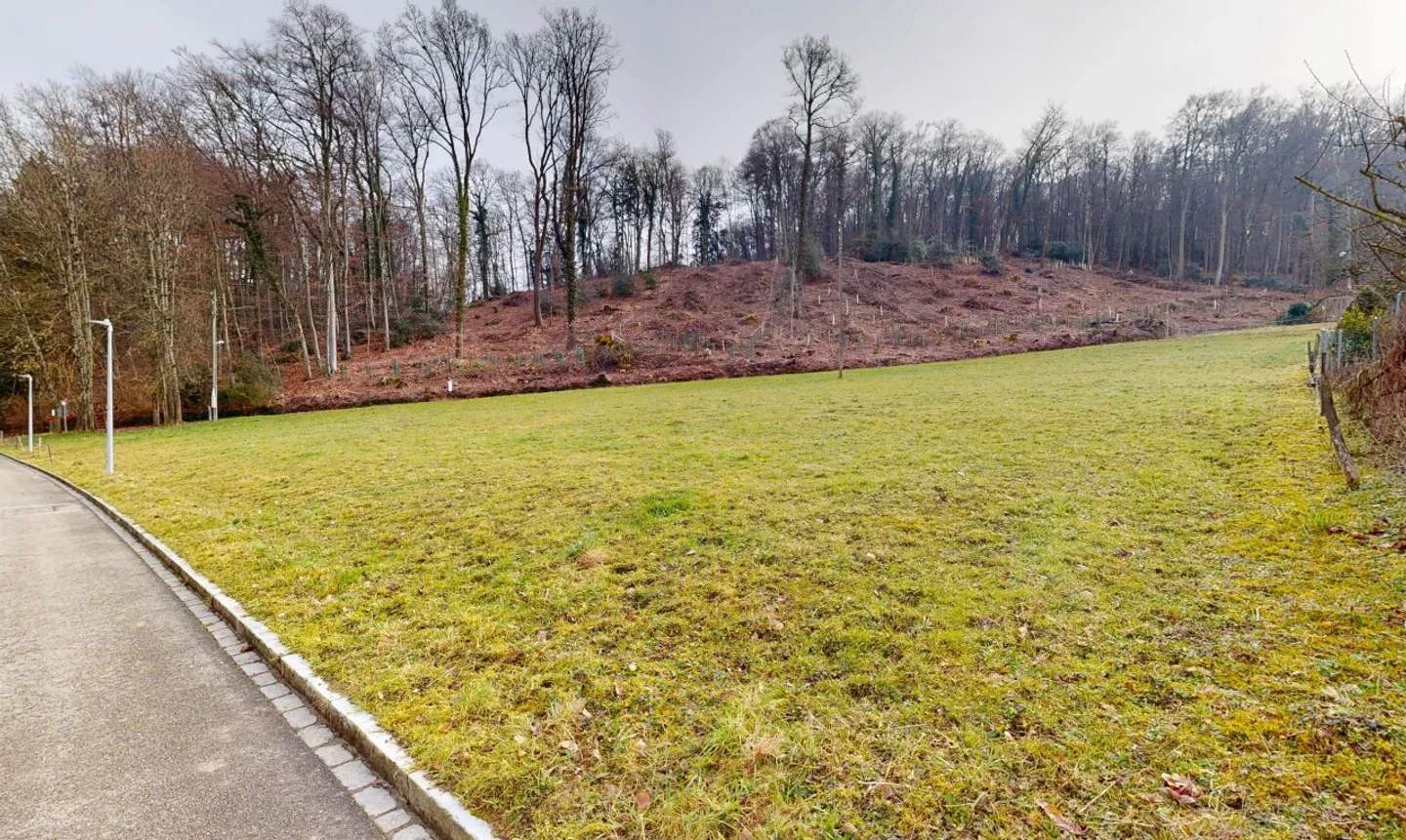 Building Land in Bettingen - Rare Opportunity - Photo 10 of 11