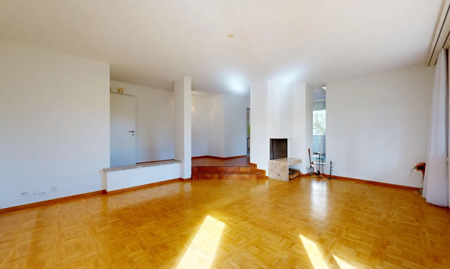 Modernized 5½-room house with ground probe and large garden - Photo 3 of 11