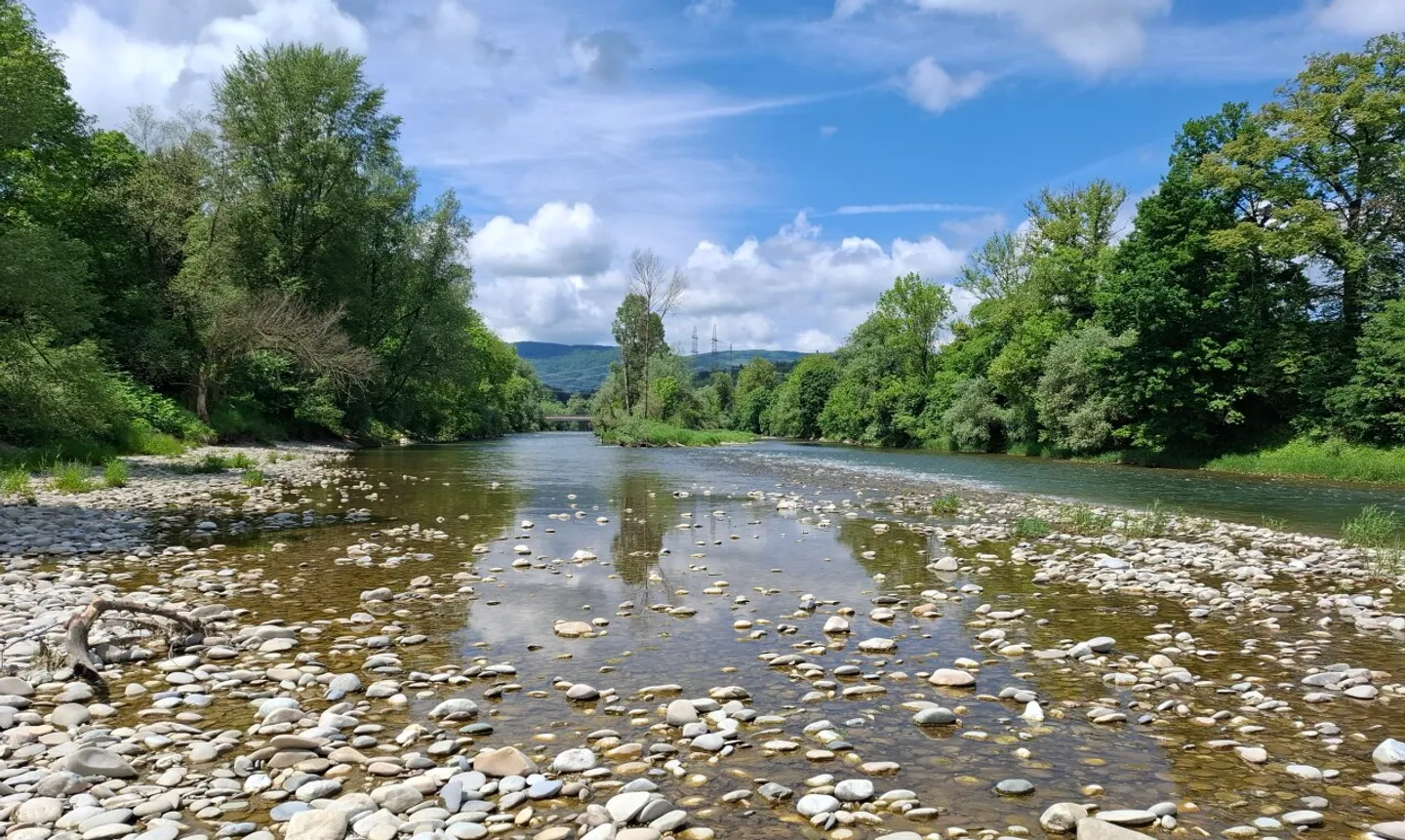 Maison bifamiliale dans la verdure avec un hangar de 400 m² utilisable commercialement - Photo 12 sur 13