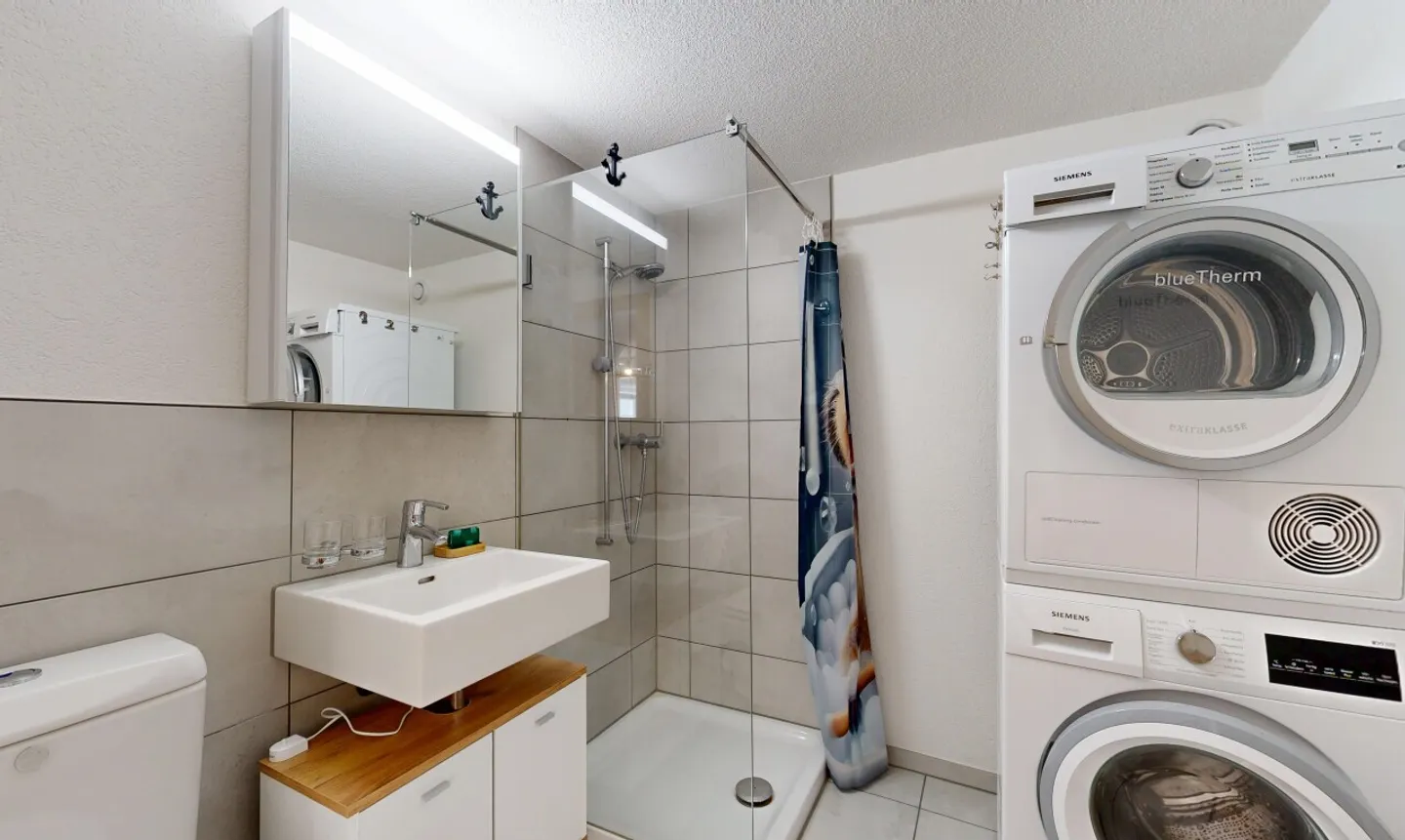 Charming 4.5-Room Ground Floor Apartment with Historic Tiled Stove - Photo 8 of 11