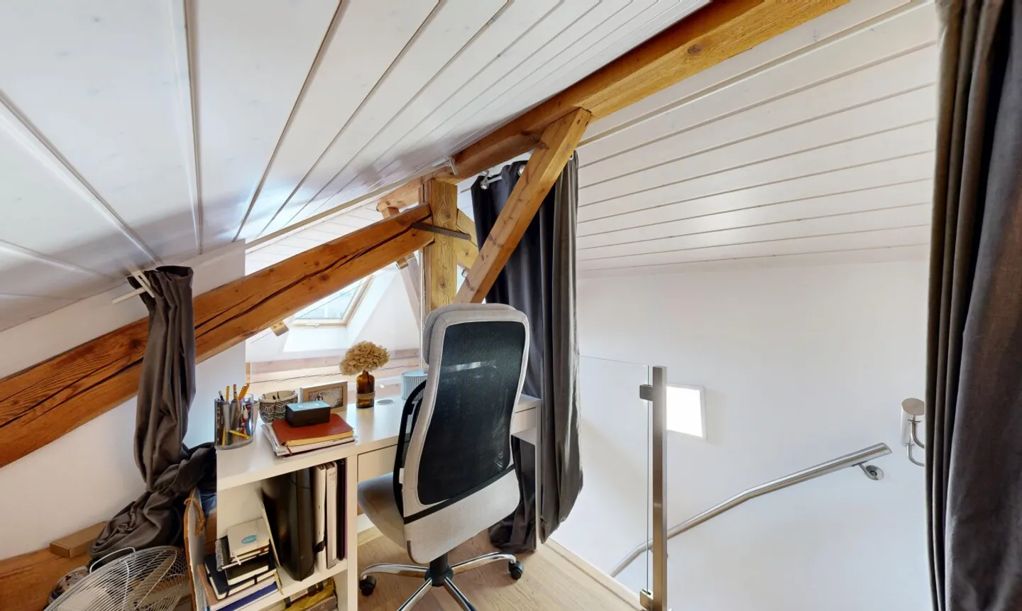 "Coup de coeur" Apartment - Top Floor in the Center of Lausanne - Photo 10 of 11