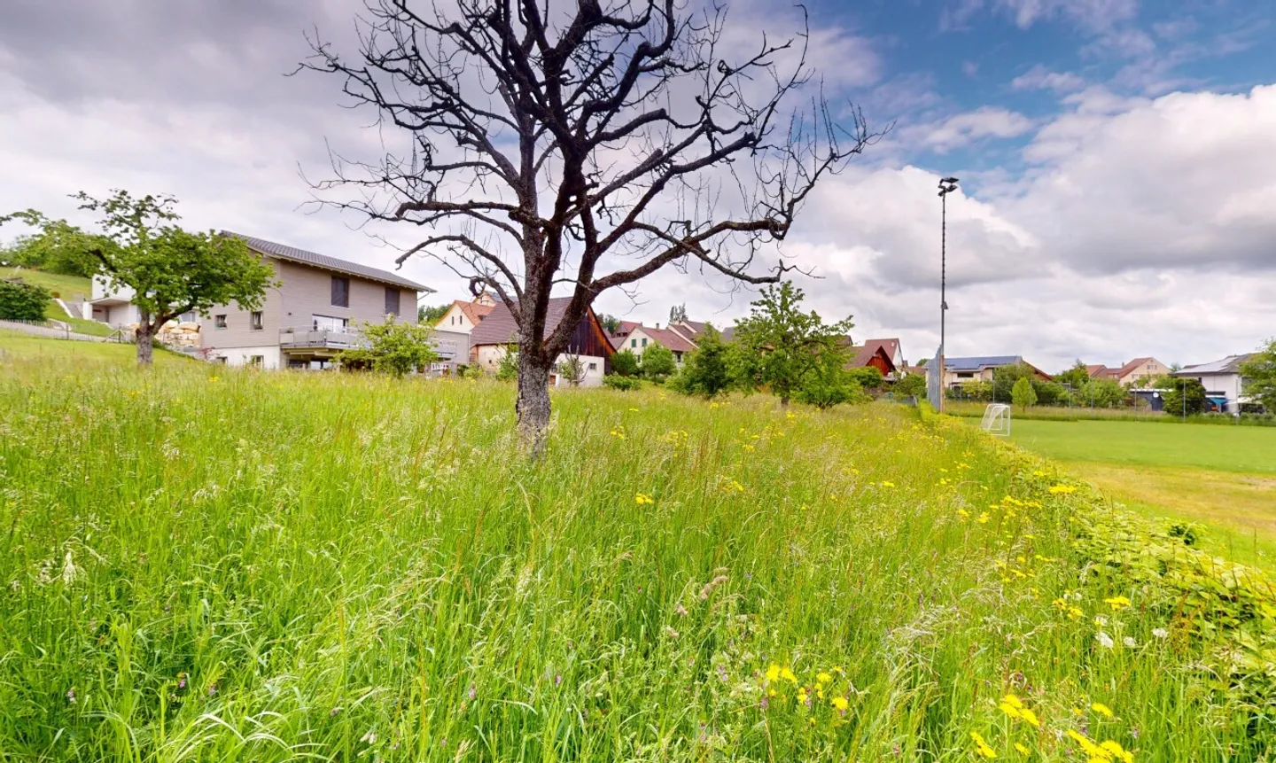 Terreno edificabile situato in posizione tranquilla con vista lontana ad Arboldswil - Foto 5 di 13