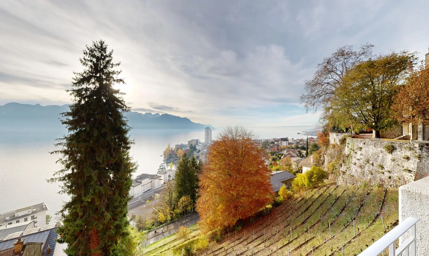 Exclusive Building Plots in Montreux - Photo 8 of 11