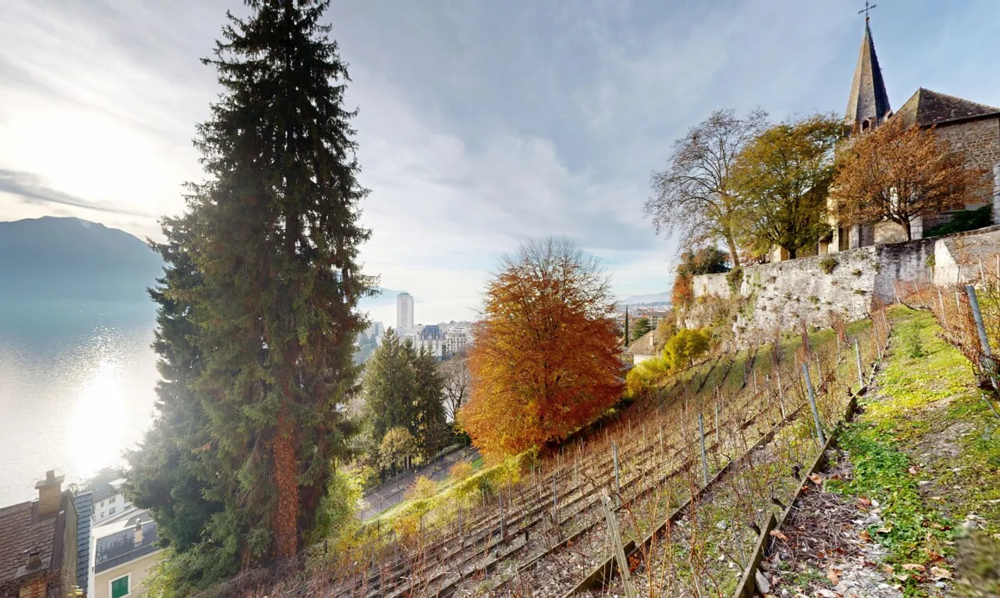 Exclusive Building Plots in Montreux - Photo 10 of 11