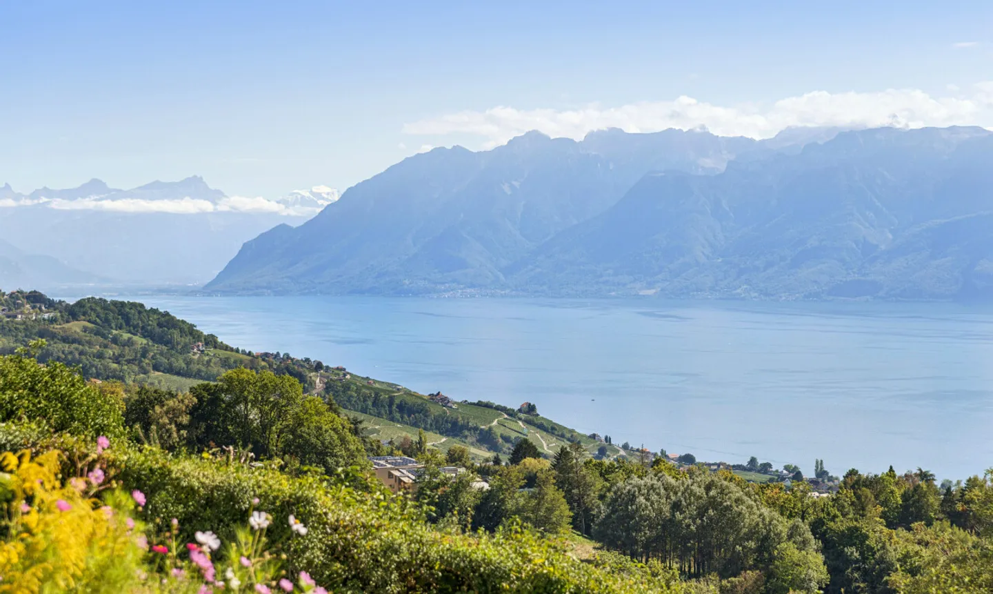 Magnificent individual villa with stunning lake view in Belmont - Photo 2 of 11