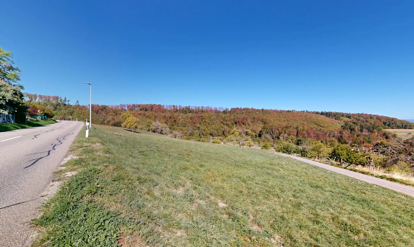 Spacious Building Land with Attractive Development Potential - Photo 10 of 11