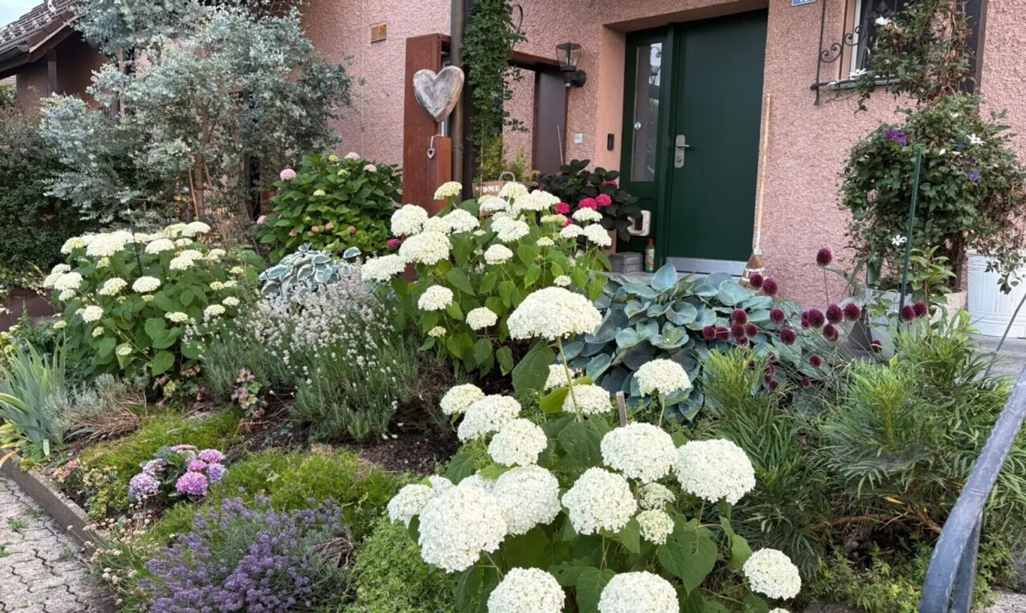 Incantevole Casa a Schiera con Giardino - Foto 2 di 11