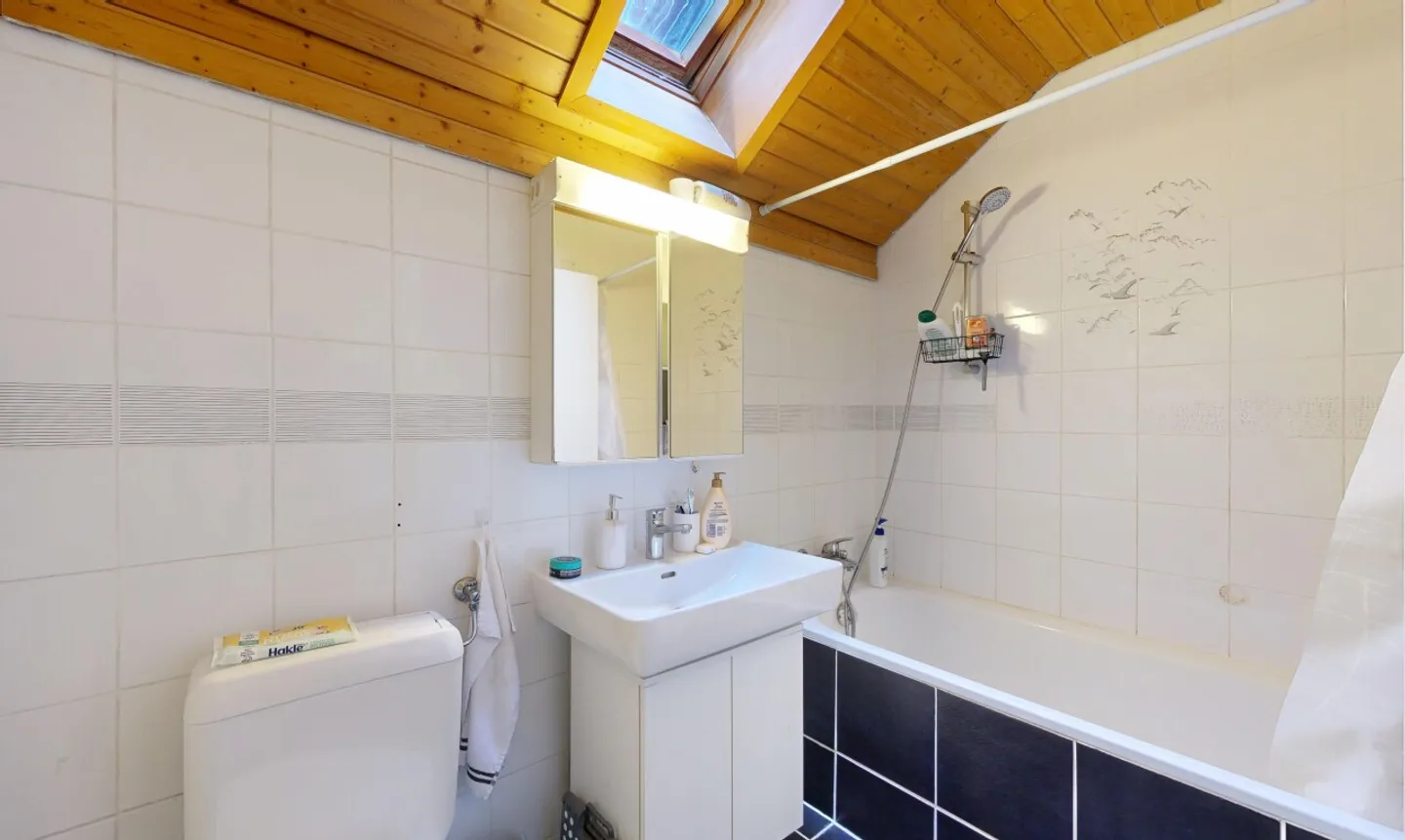 A haven of peace at the gates of Morat with high rental potential - Photo 9 of 11