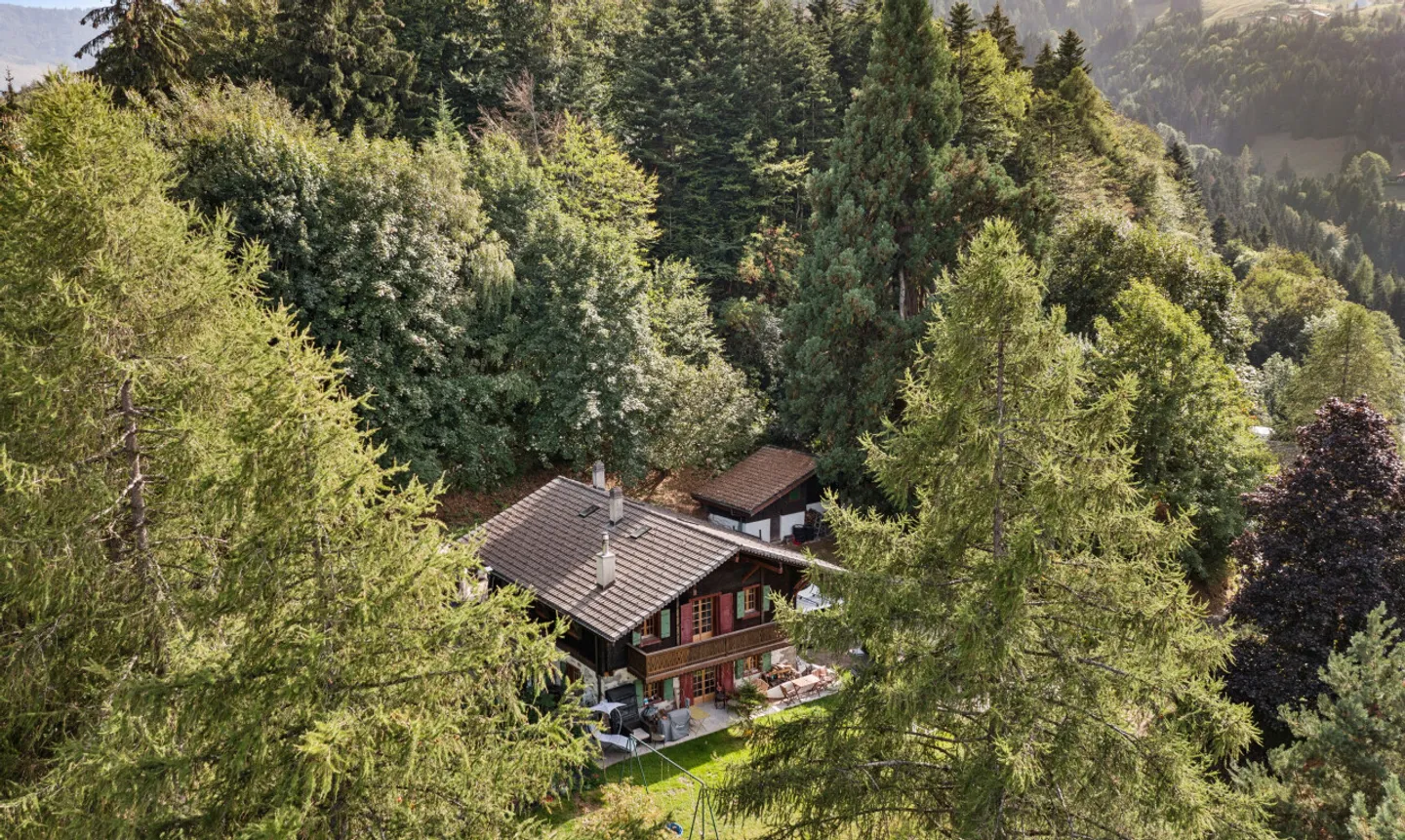 Les Giettes – Chalet de caractère sur un terrain d'exception - Photo 3 sur 11