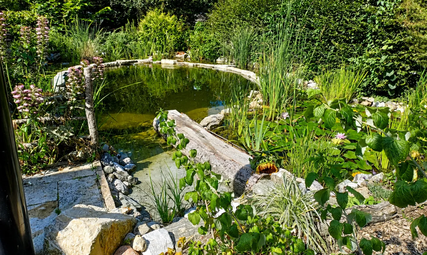 Natur-Retreat Nähe Lausanne - Foto 4 von 11