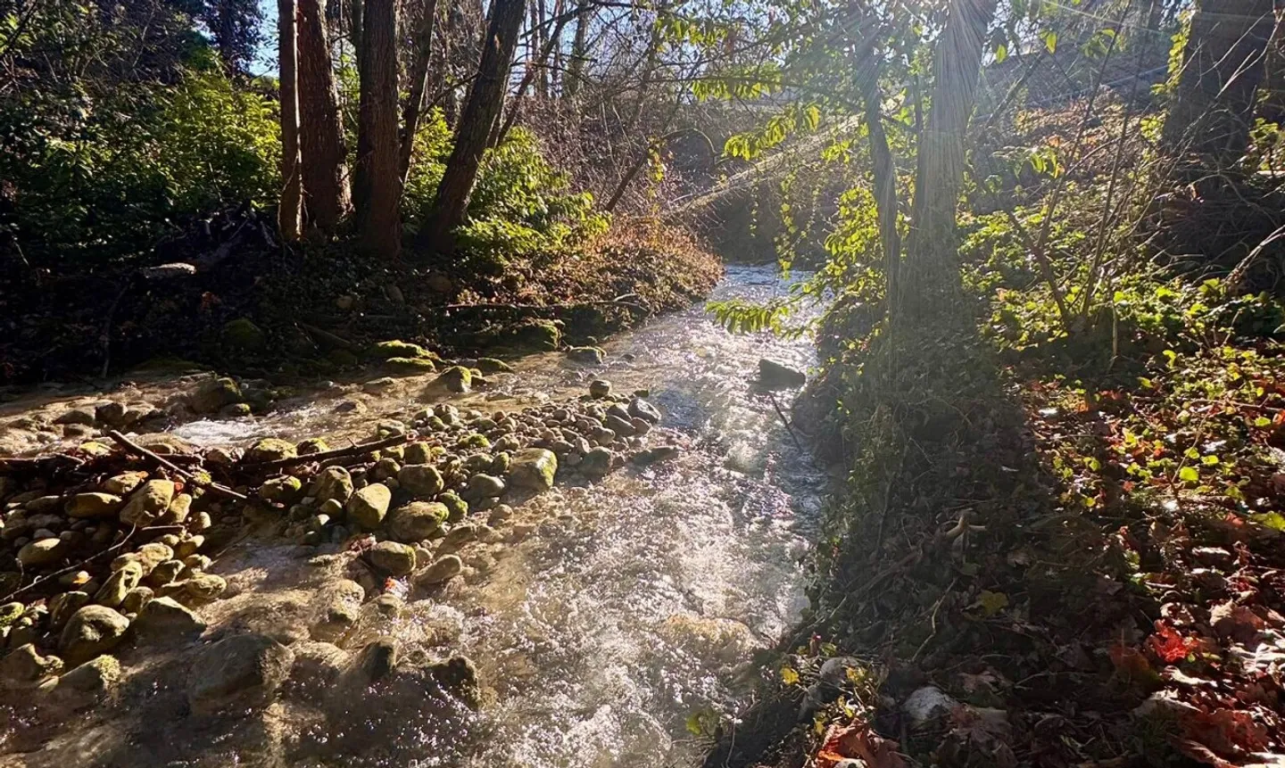 Casa a schiera nel centro del villaggio con vista sulla foresta - Foto 3 di 11