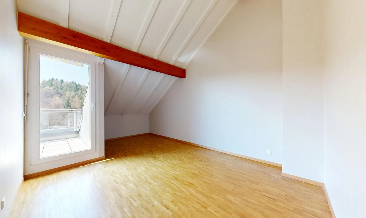 Vor einem Obstgarten und dem Wald - Foto 11 von 13