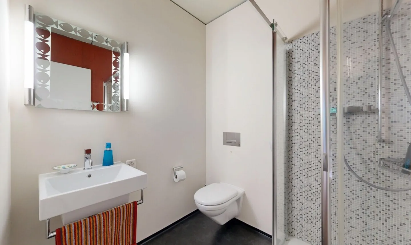 Stylish Loft Apartment in Richterswil - Photo 8 of 11