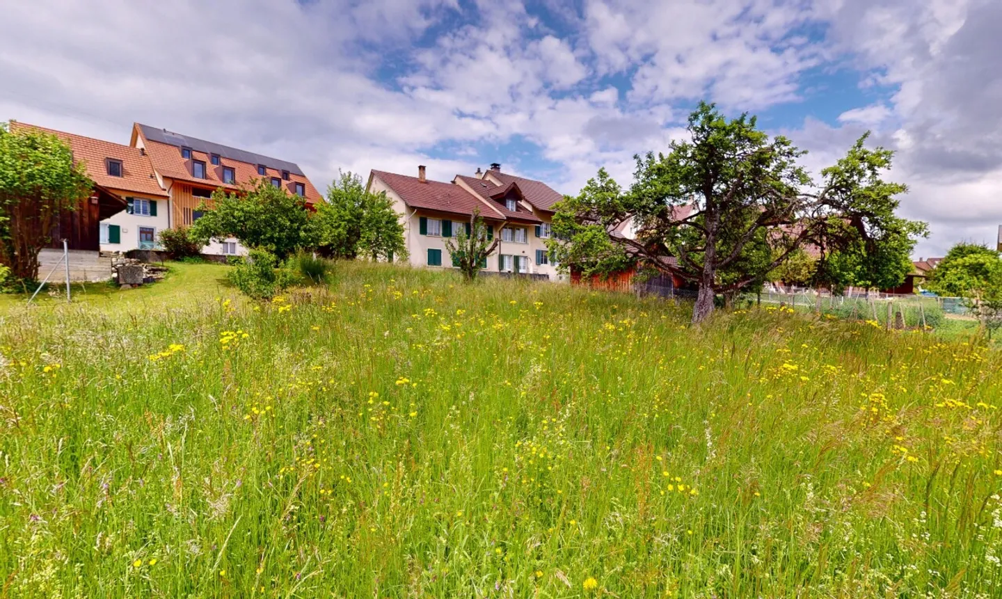 Terreno edificabile situato in posizione tranquilla con vista lontana ad Arboldswil - Foto 4 di 13