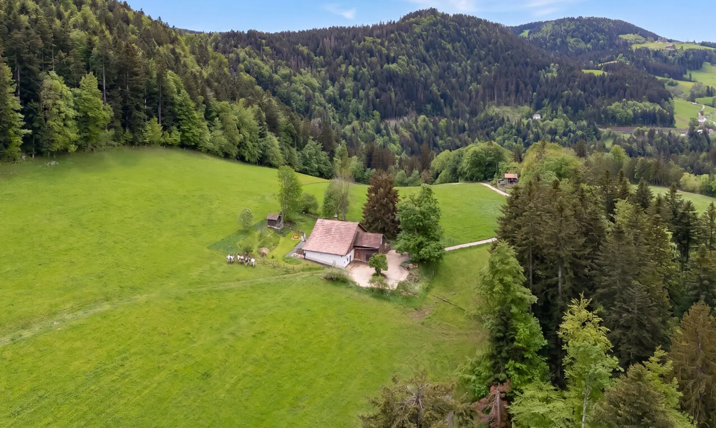Ferme rénovée avec potentiel - Photo 3 sur 13