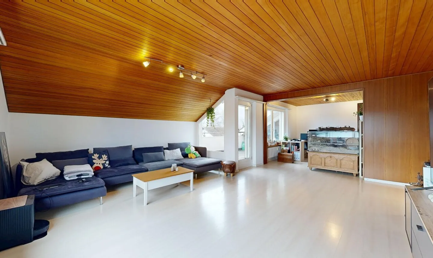 Ampio attico di 5,5 stanze con vista panoramica in una posizione tranquilla - Foto 1 di 11