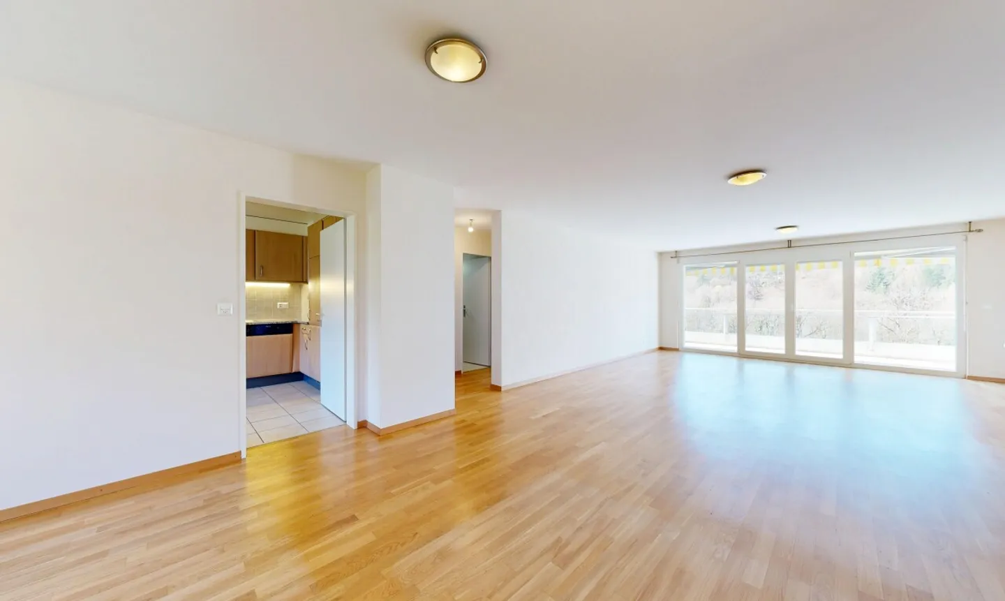 Vor einem Obstgarten und dem Wald - Foto 3 von 13