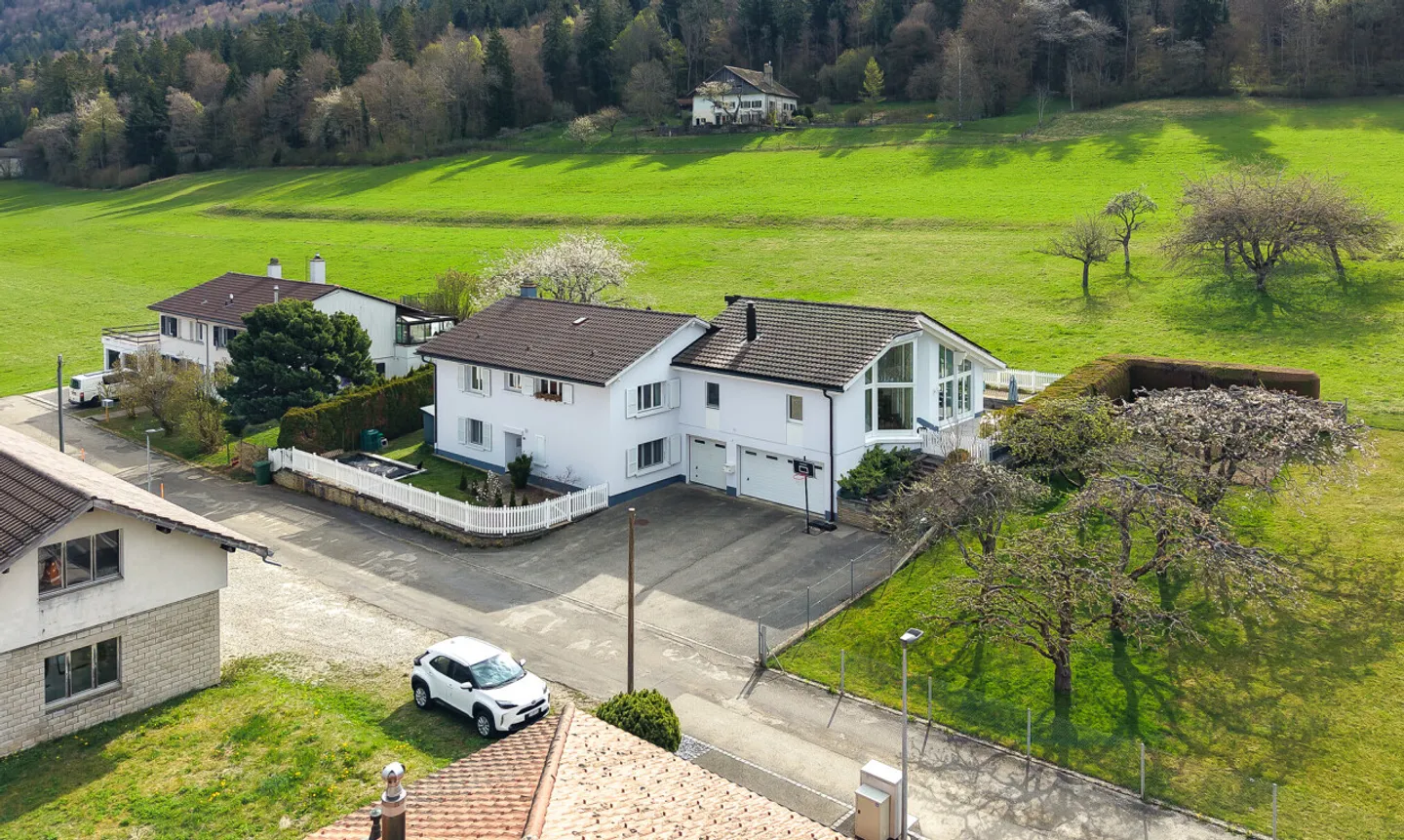 Stunning Villa with Forest View - Photo 7 of 11