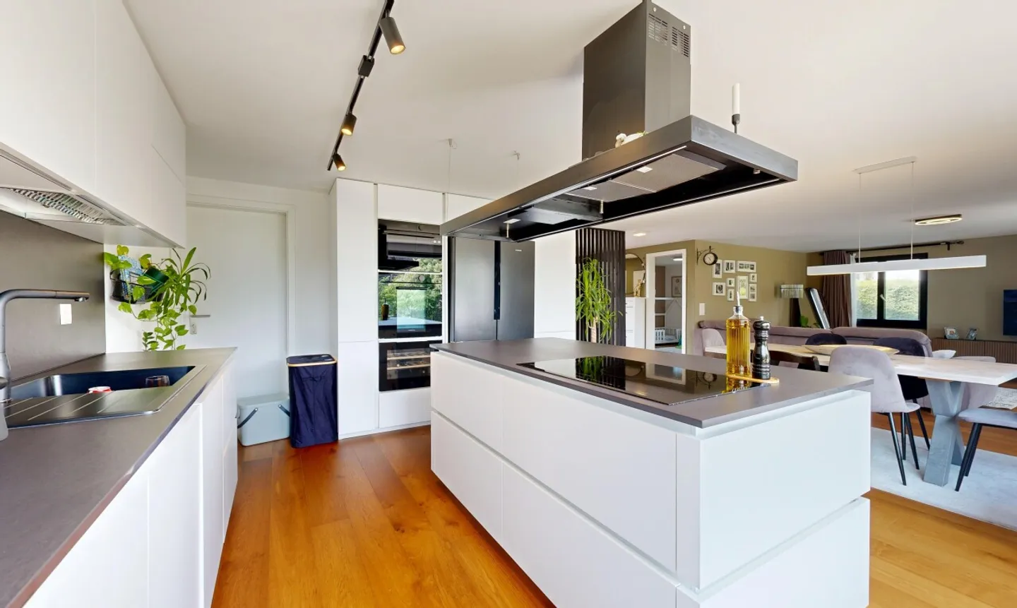 Modernized Single-Family House with Designer Kitchen and Conservatory - Photo 5 of 11