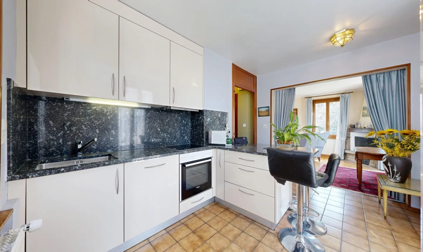 Beautiful detached house in Lausanne - Photo 4 of 11