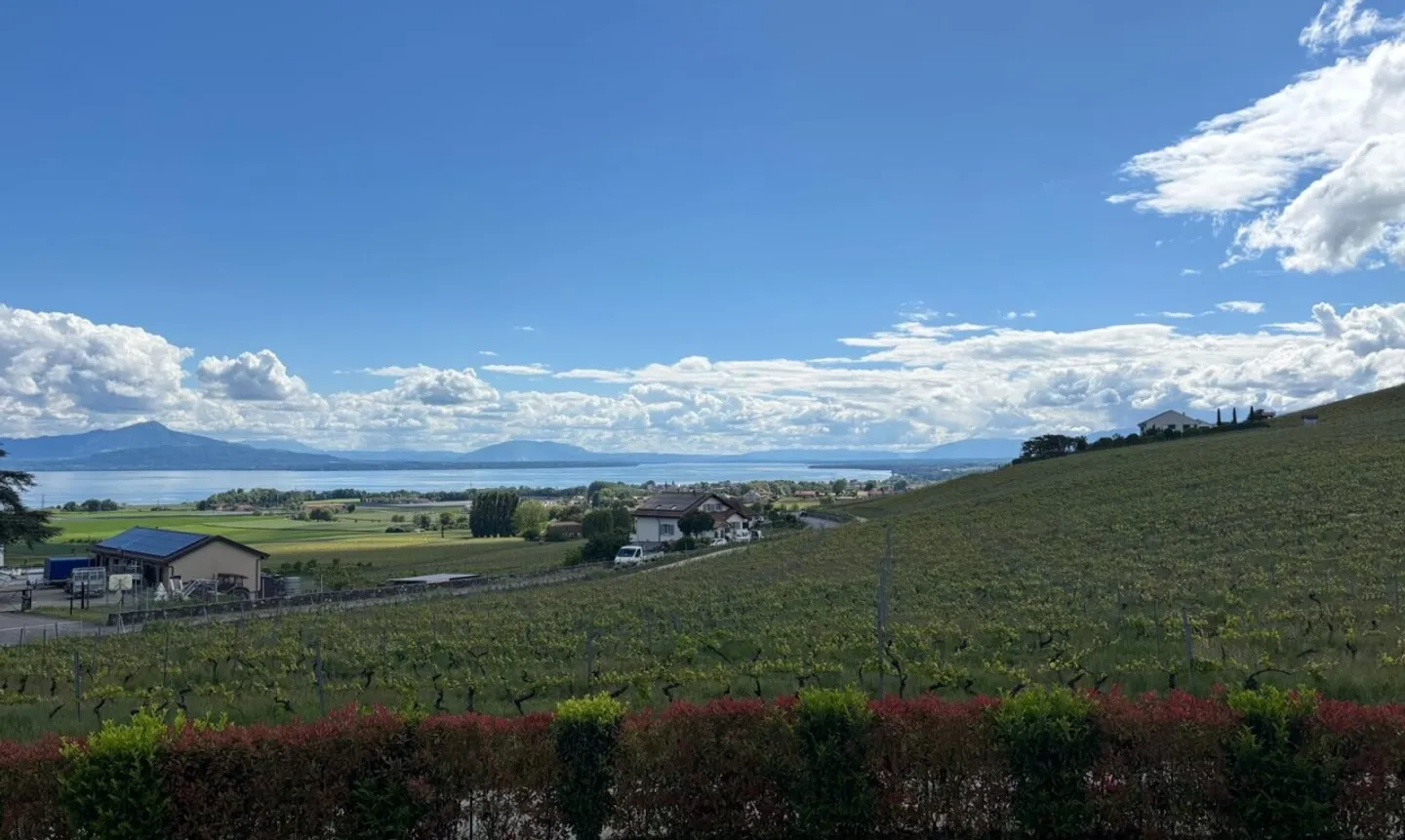Contemporary house with exceptional volumes and view of the lake and Alps - Photo 1 of 11