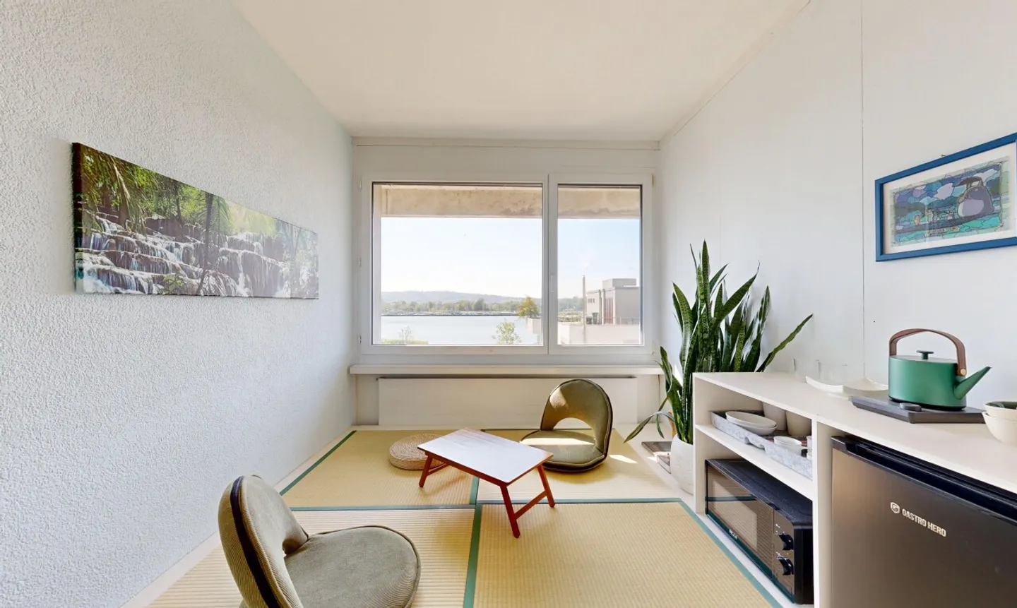 Renovated Townhouse by Lake Biel - Photo 9 of 11