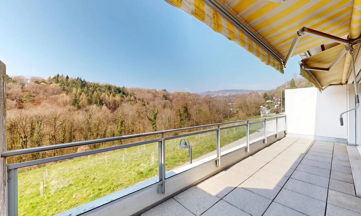 Vor einem Obstgarten und dem Wald - Foto 5 von 13