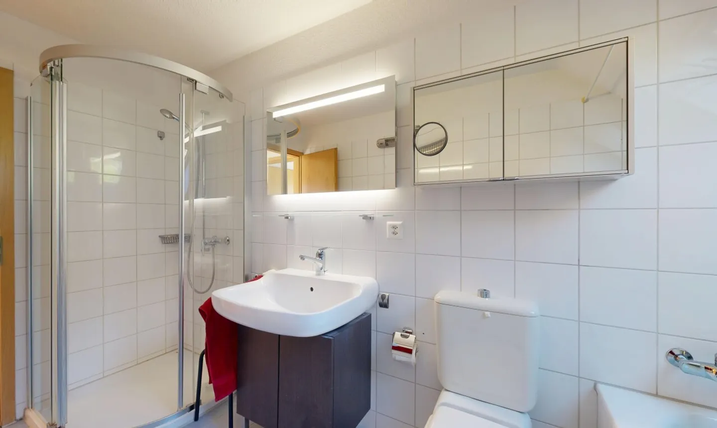 Exclusive Penthouse Apartment in Uerikon - Photo 8 of 11