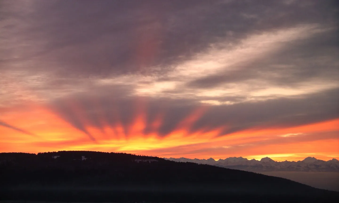 Charming Detached House with Studio - Photo 11 of 13