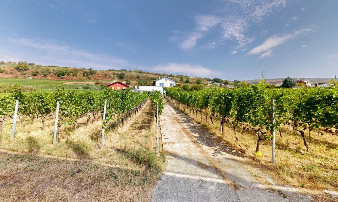 Maison 5.5p au Landeron avec vignes et fort potentiel - Photo 5 of 11