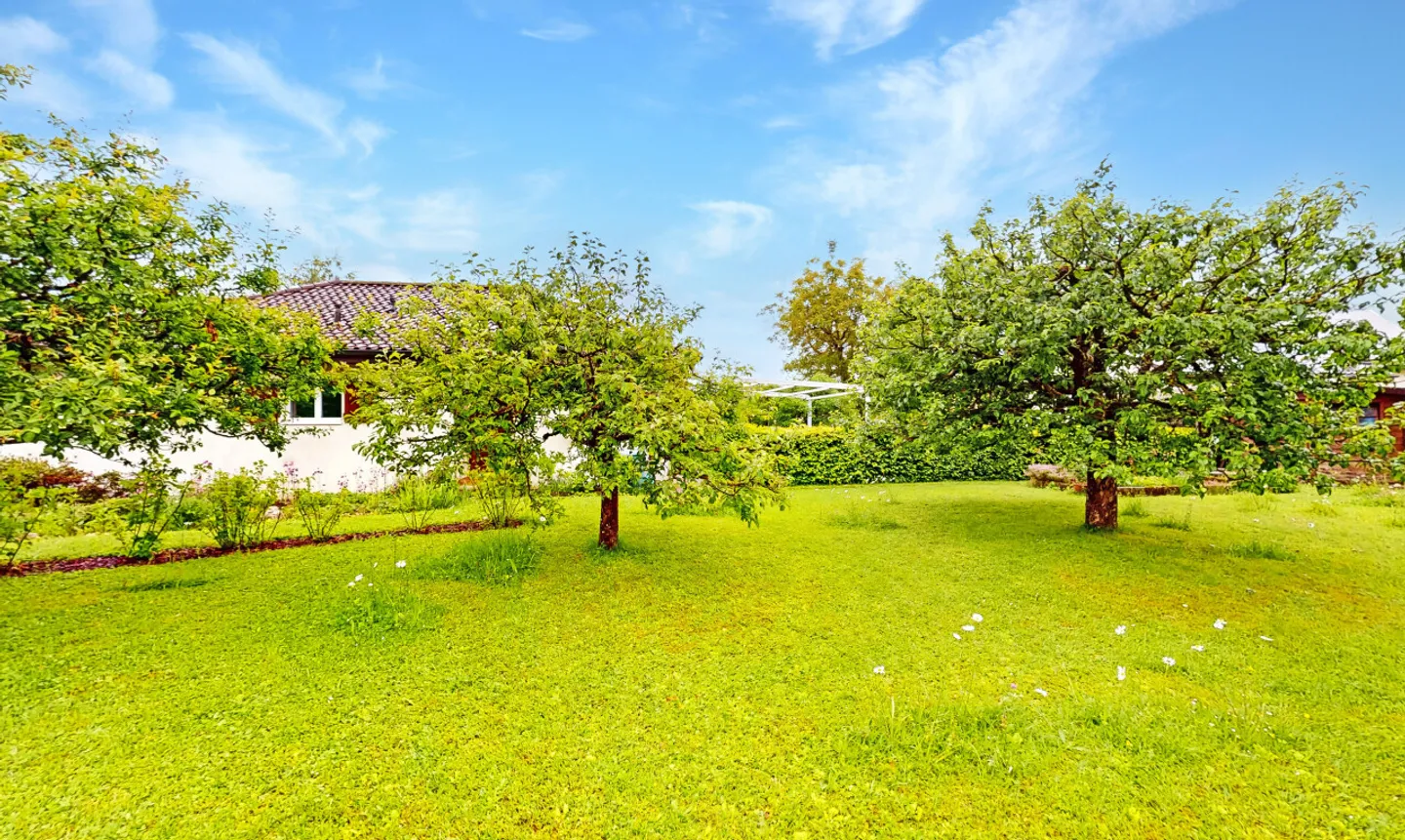 Renovated family house with independent studio - Photo 12 of 13