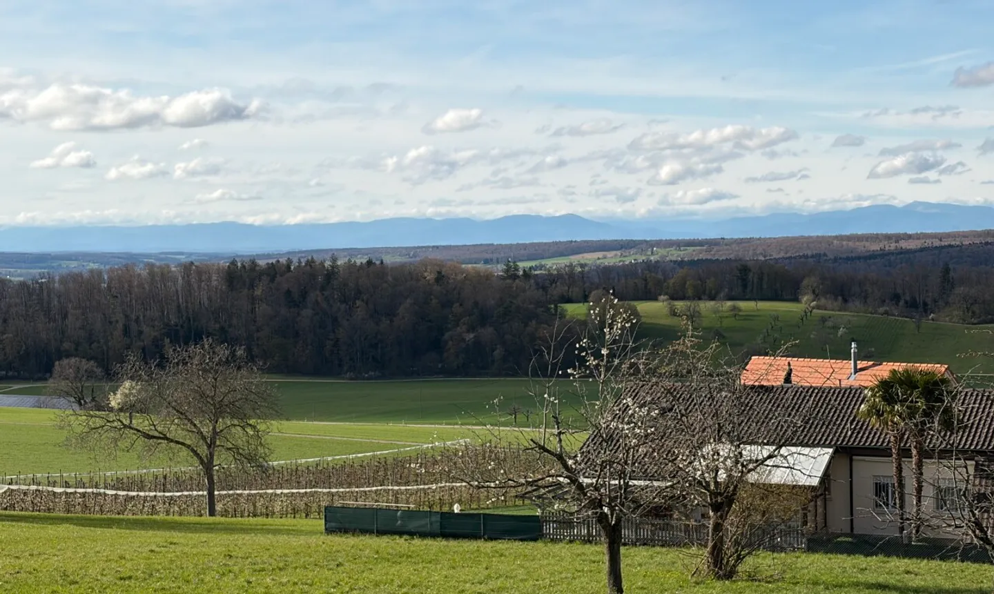 Developed plot with wonderful, unobstructed views - Photo 9 of 11