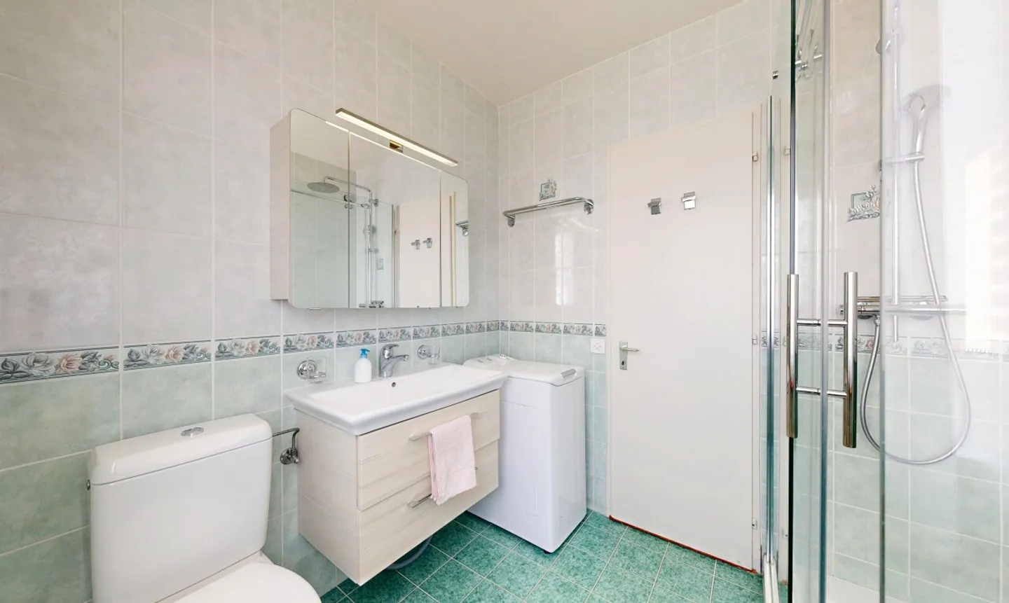 4.5 bright rooms in Versoix, quiet setting, generous living space - Photo 10 of 11