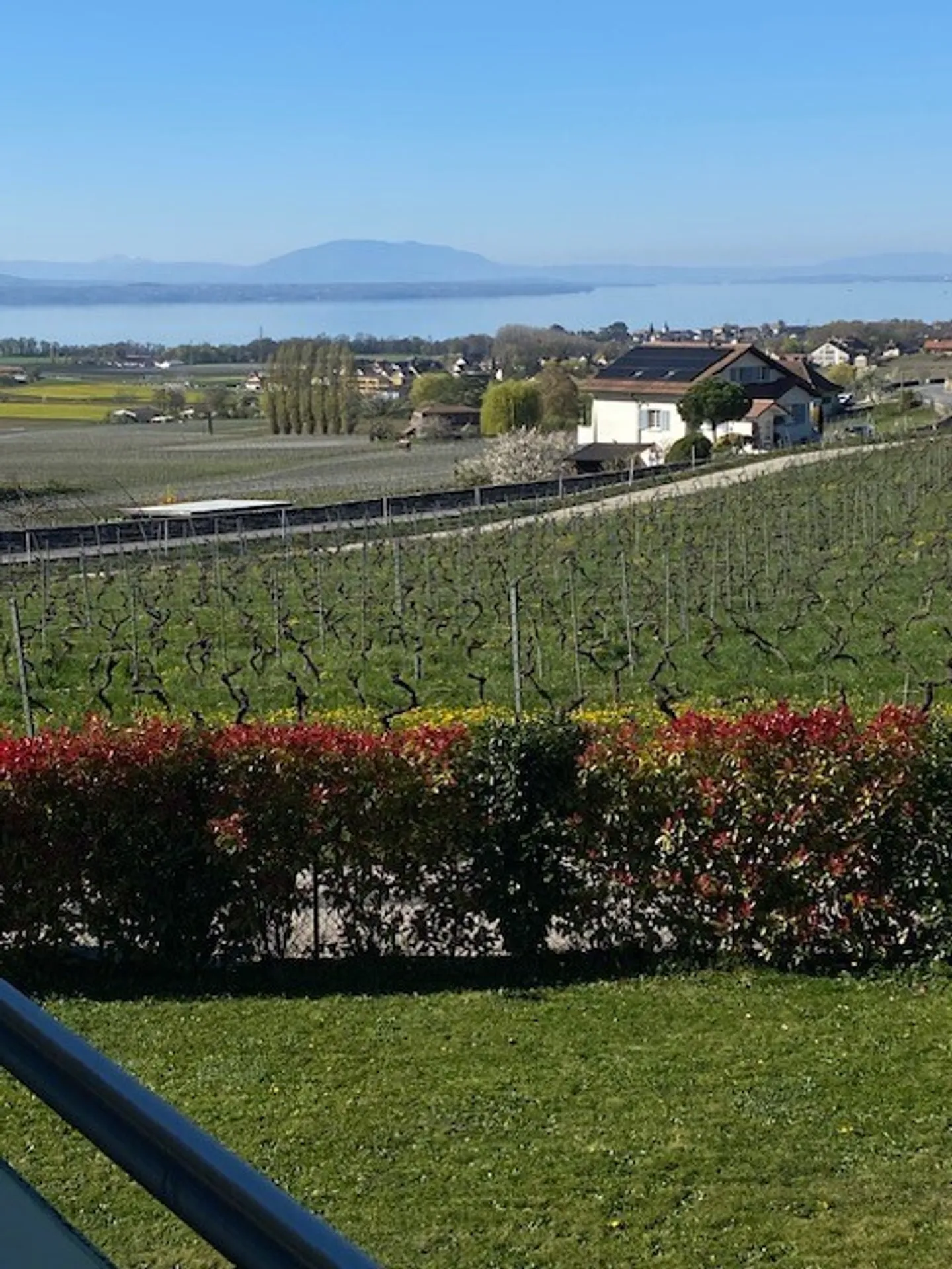 Maison Contemporaine avec Vue Lac - Photo 4 sur 11