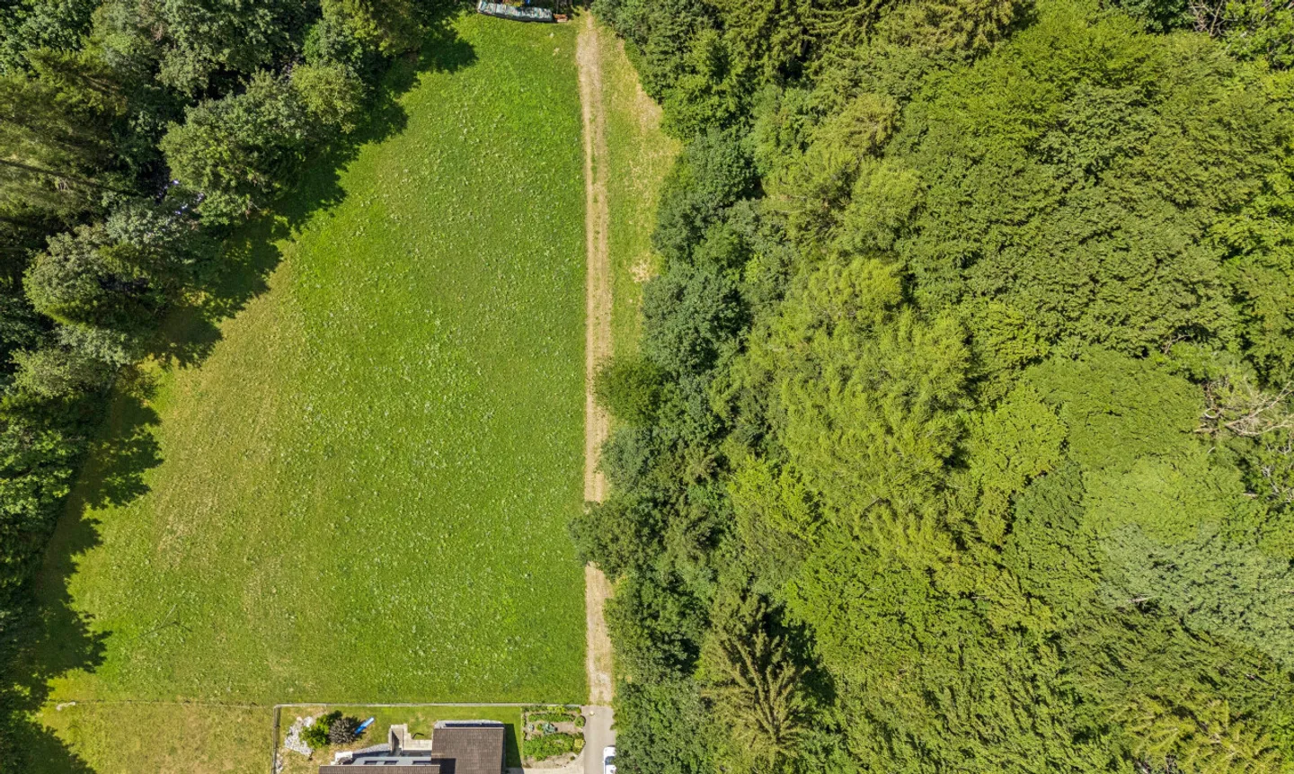 Spacious building land with project study in a natural location in Vättis - Photo 3 of 8