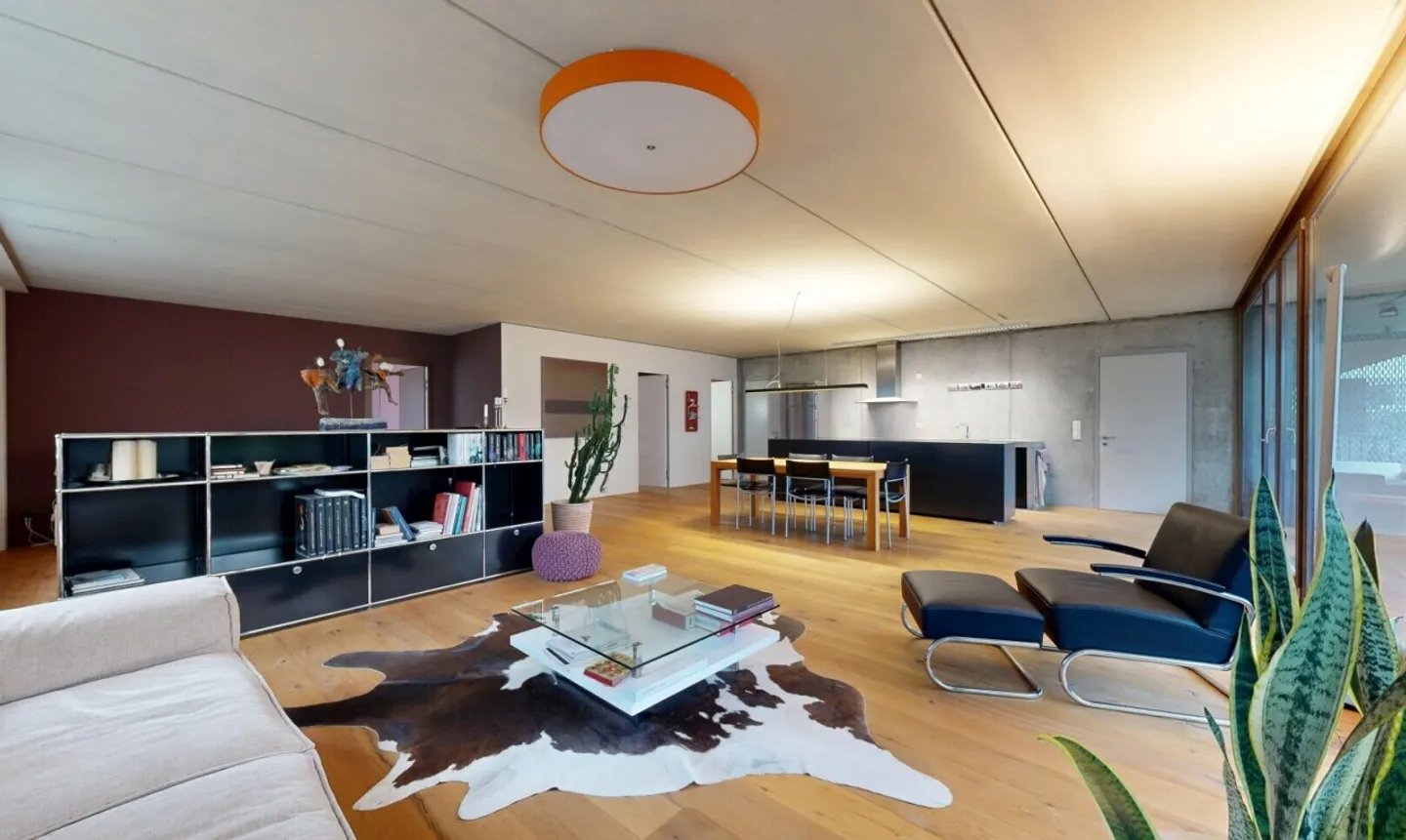 Stylish Loft Apartment in Richterswil - Photo 1 of 11