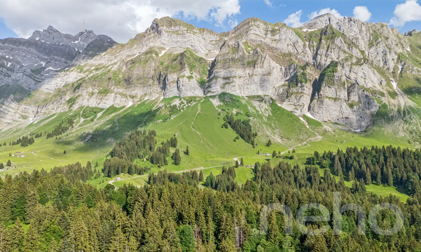 6.5-Room Single-Family House in Natural Surroundings at the Foot of the Säntis - Photo 10 of 11