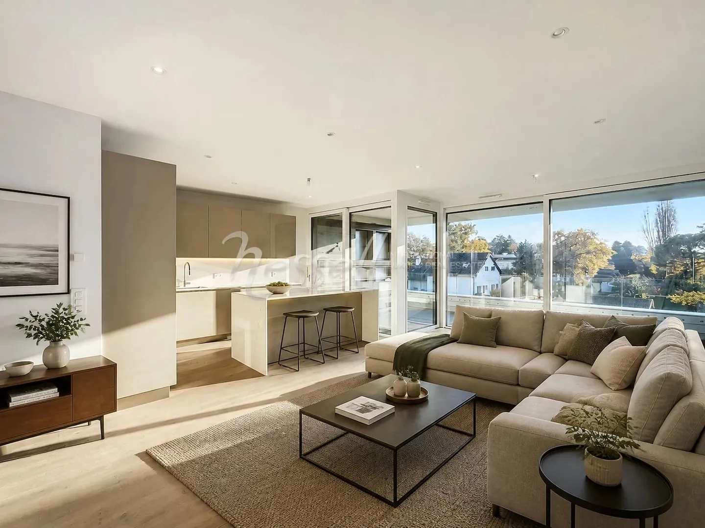 Luxury Apartment in Vesenaz - Photo 3 of 13