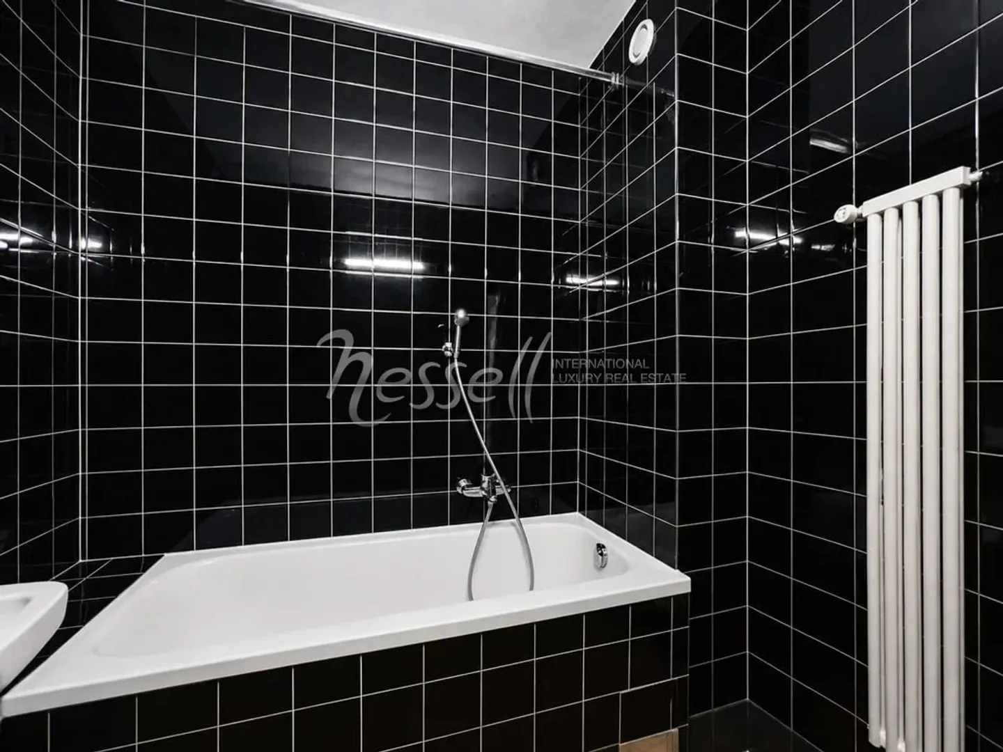 Charming Apartment in Versoix - Photo 5 of 13