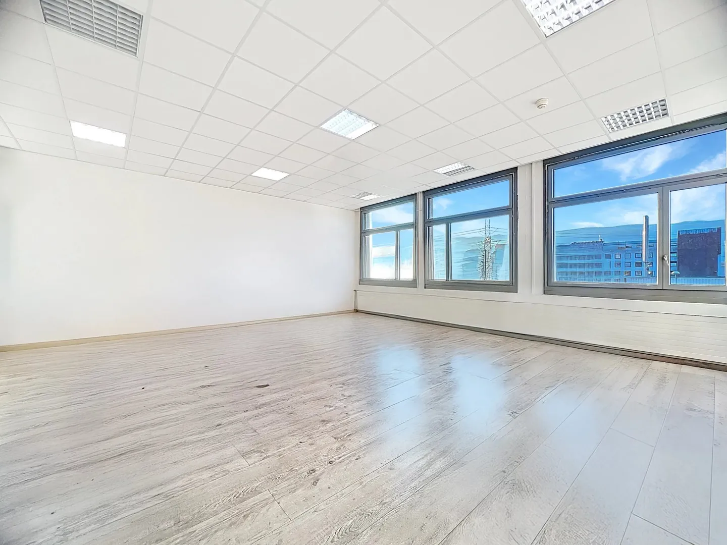 Spacious offices in the heart of Satigny - Photo 2 of 12