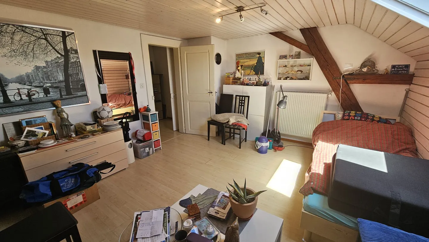 Zu vermieten in Delémont eine gemütliche 3,5-Zimmer-Wohnung unter dem Dach - Foto 7 von 9
