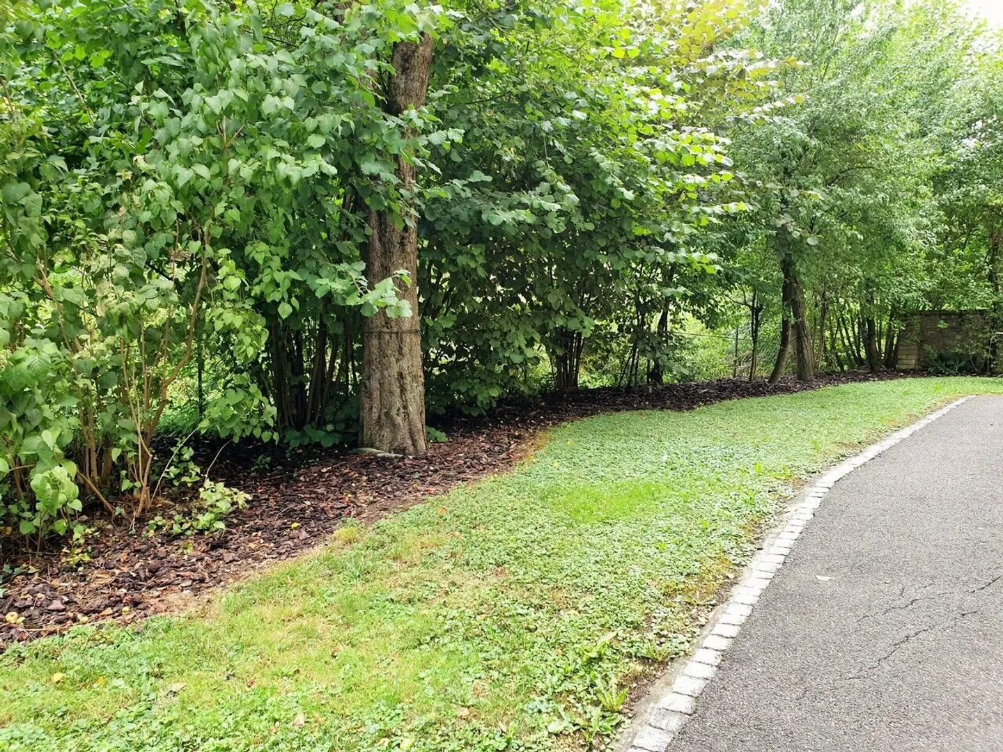 Appartamento di 4.5 locali al 1° piano in affitto a Delémont - Foto 2 di 13