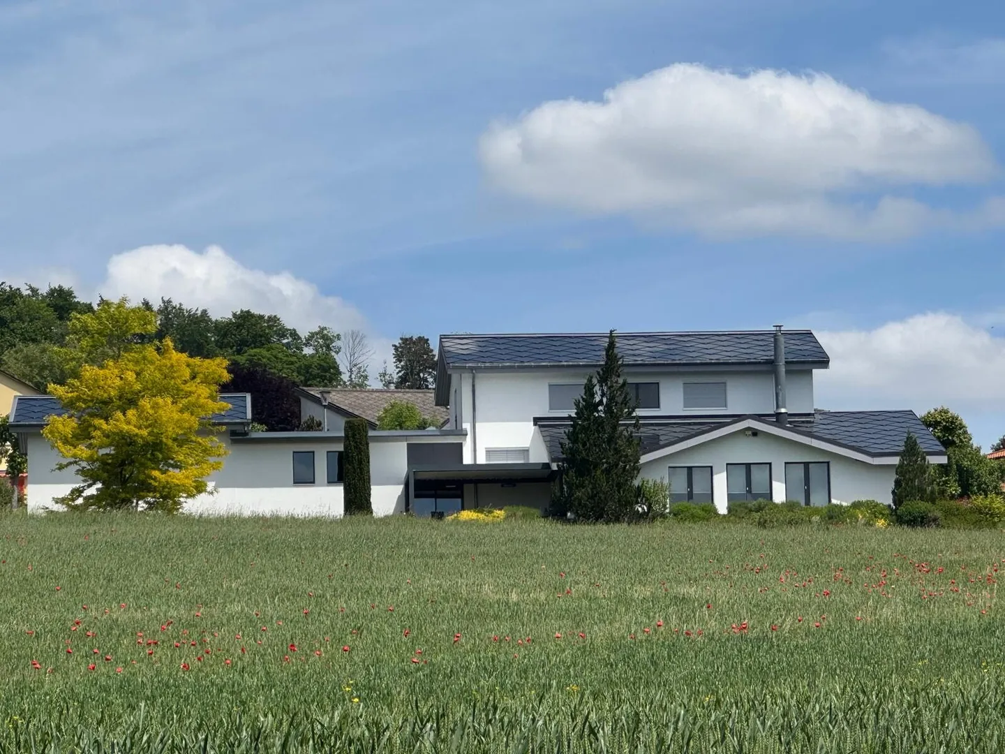 Villa d'exception et moderne de 8.5 pièces à Porrentruy - Photo 2 sur 13