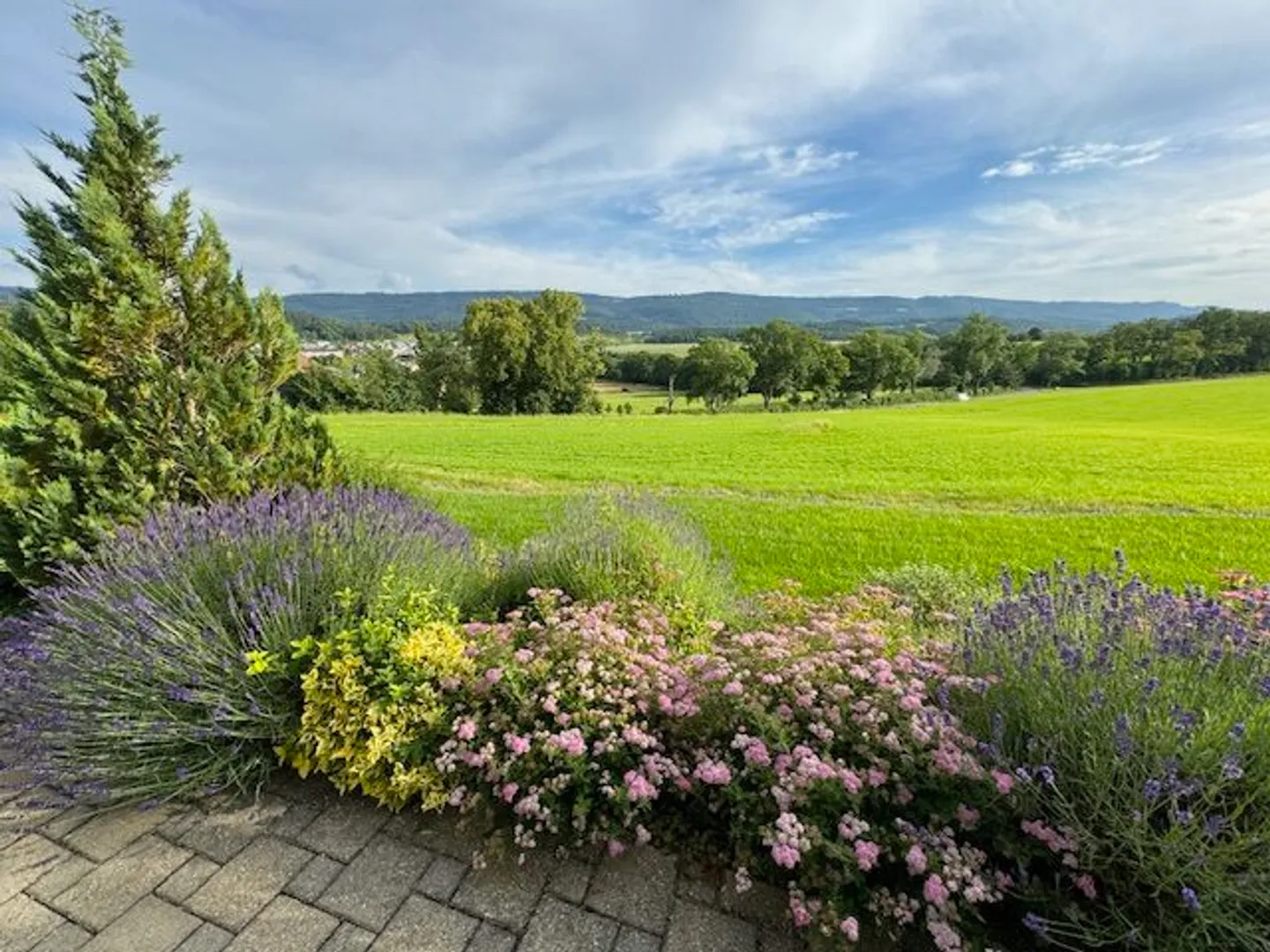 Villa d'exception et moderne de 8.5 pièces à Porrentruy - Photo 4 sur 13