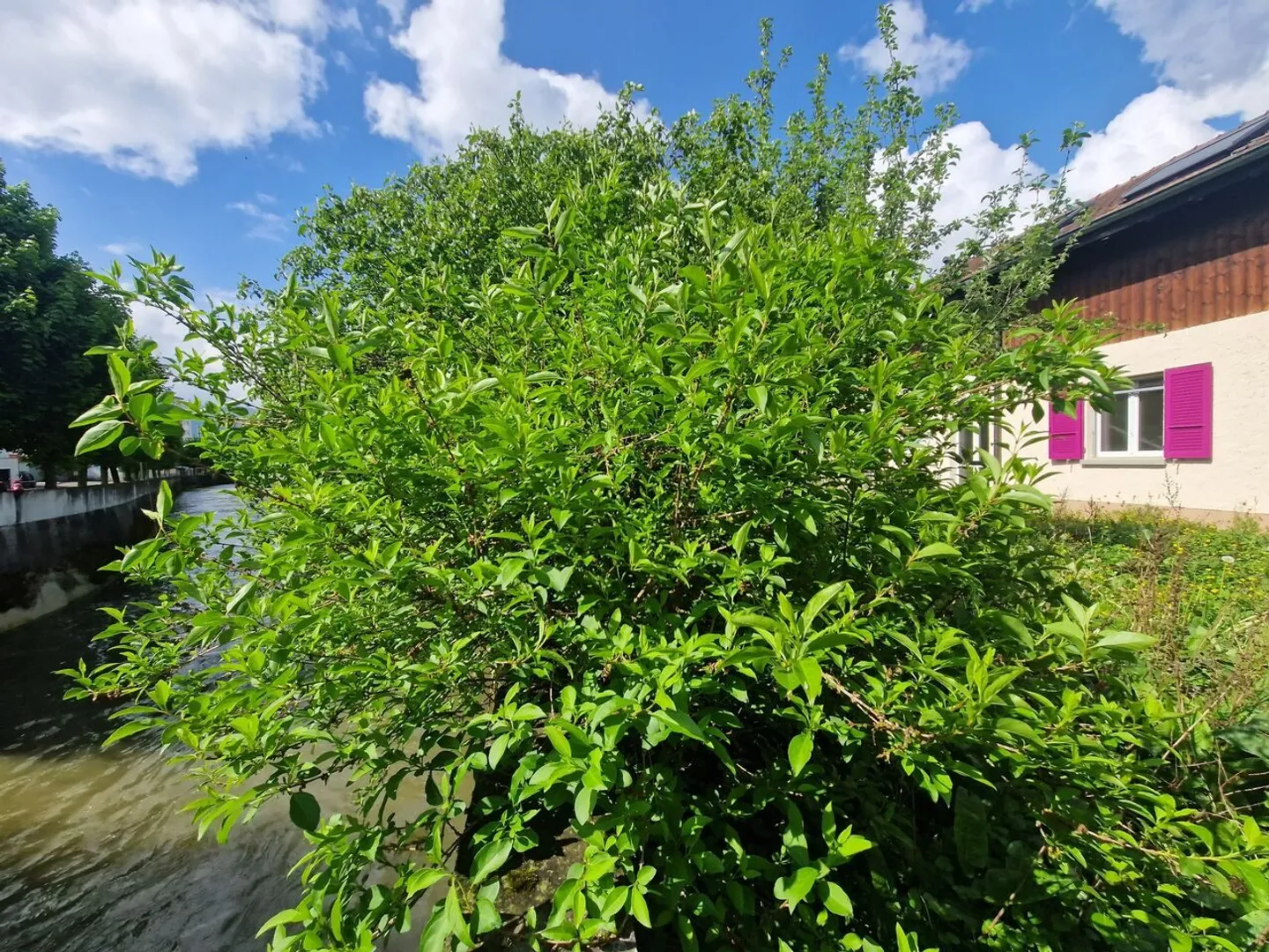 Mietshaus - Foto 6 von 13