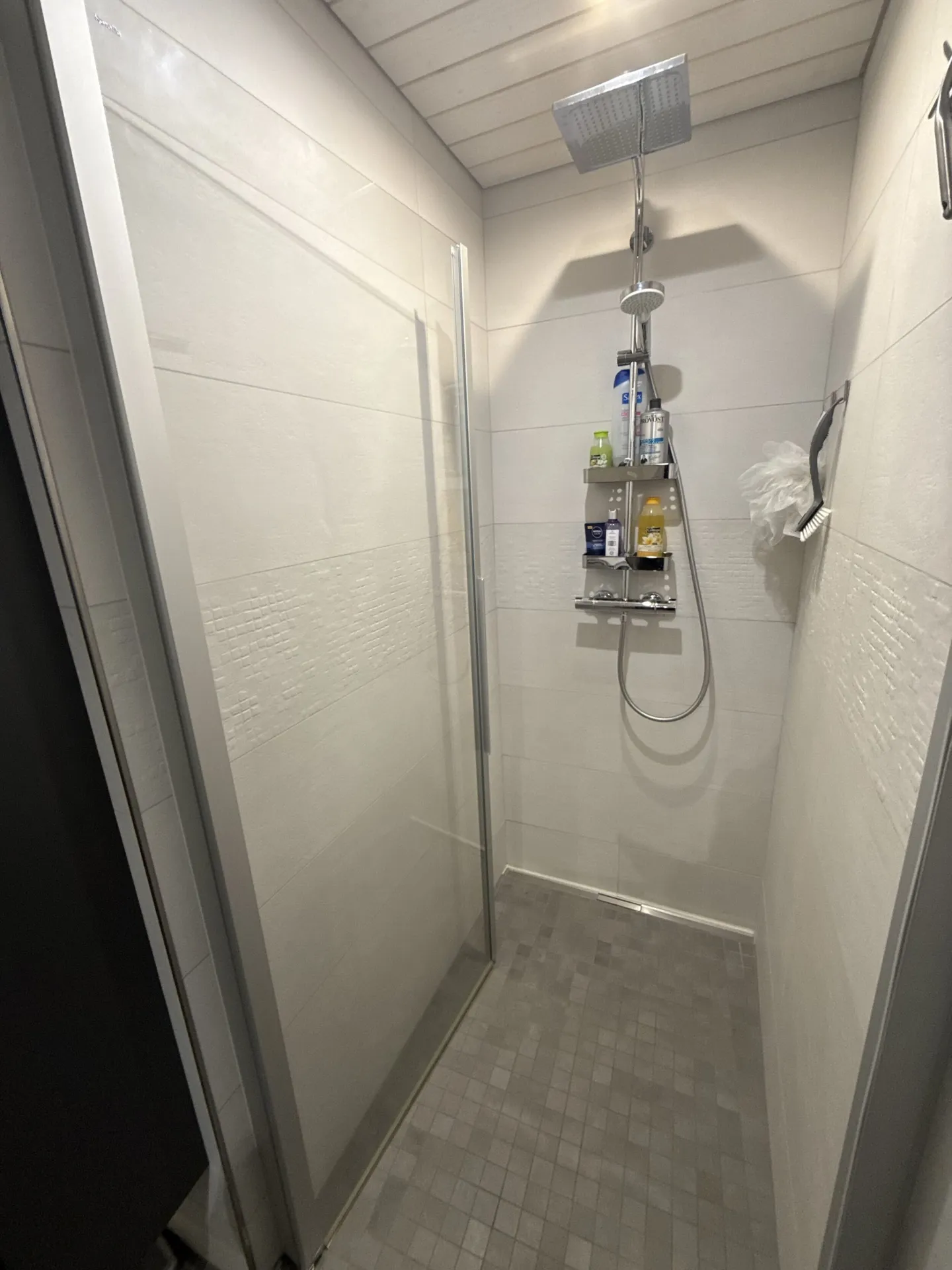 In vendita a Roches, appartamento al piano terra di 3,5 locali - Foto 8 di 13