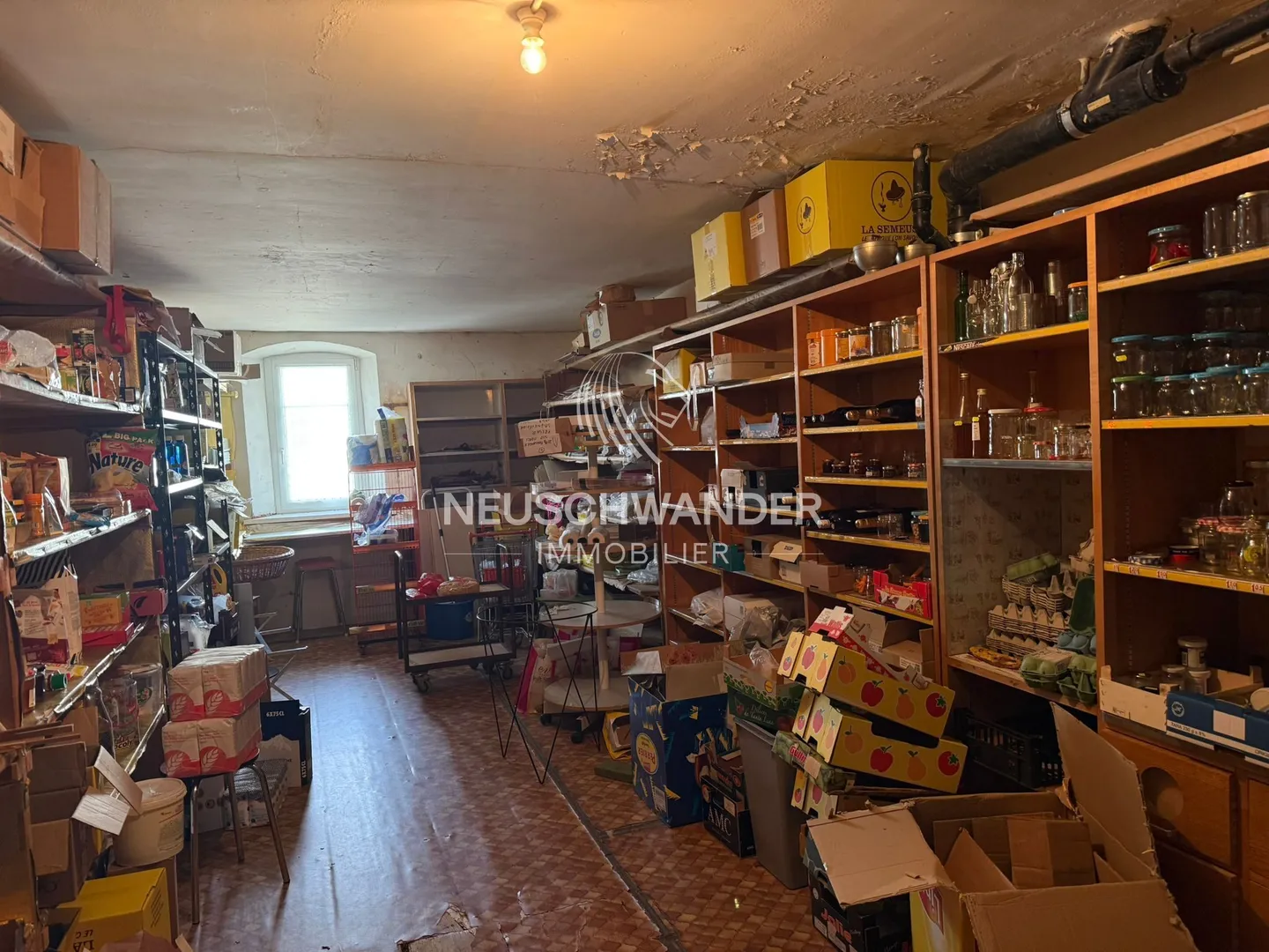 Income-generating building - Photo 10 of 13