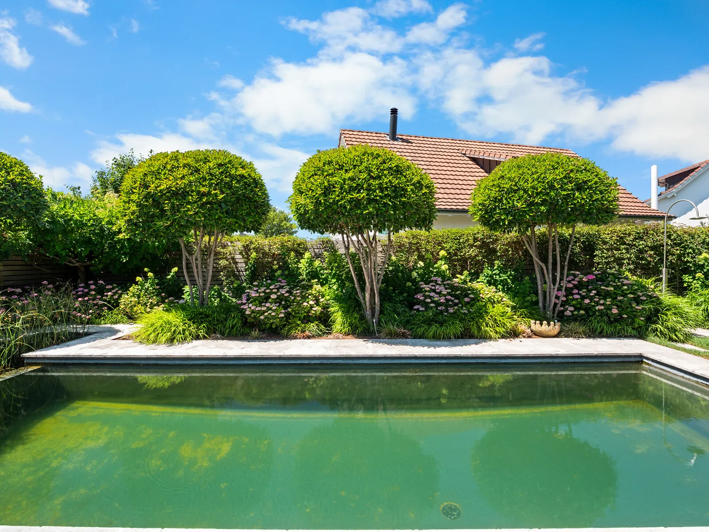 Les vacances commencent dans votre propre jardin - Photo 2 sur 7