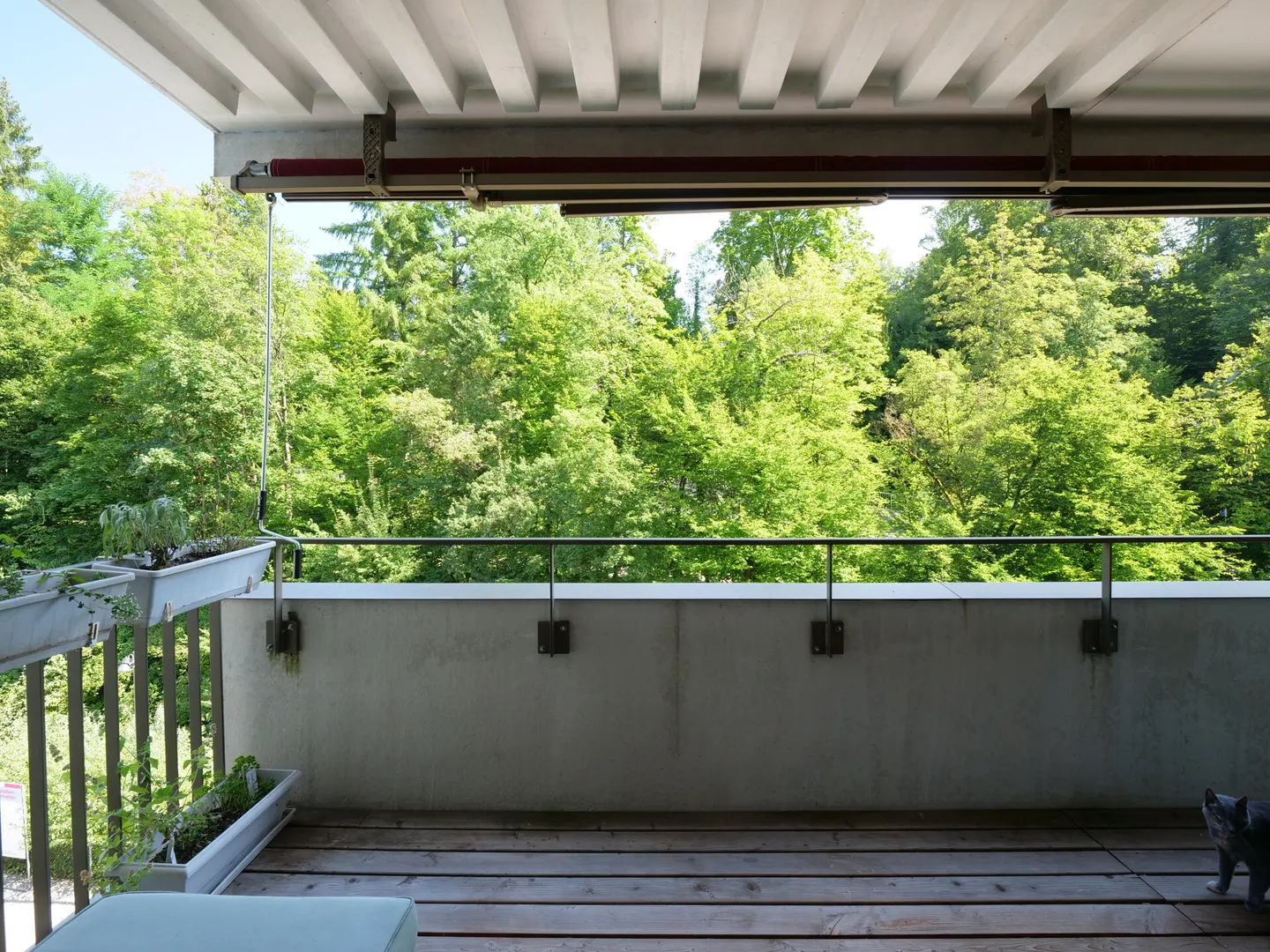 Moderne Stadtwohnung, urban und grün - Foto 7 von 7
